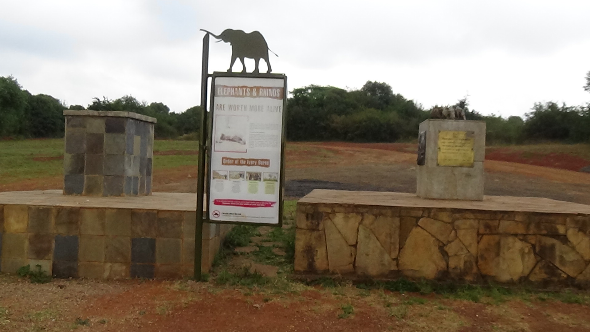 20 Frequently Asked Questions about Nairobi National Park