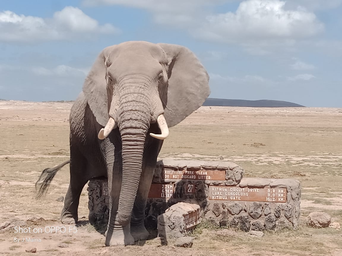 Amboseli National Park