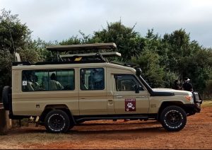 Tour converted Landcruiser