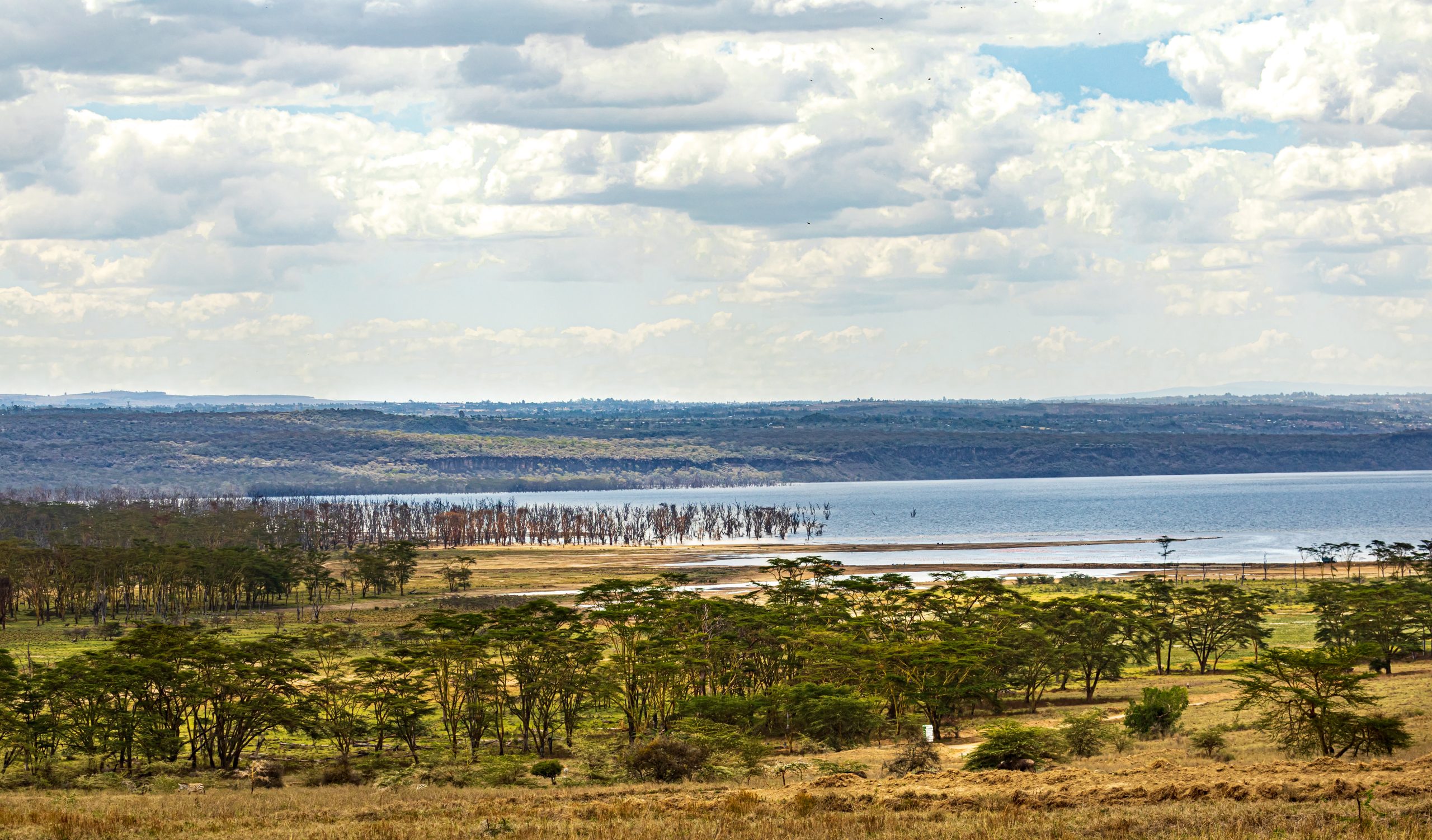 Lake Nakuru National Park