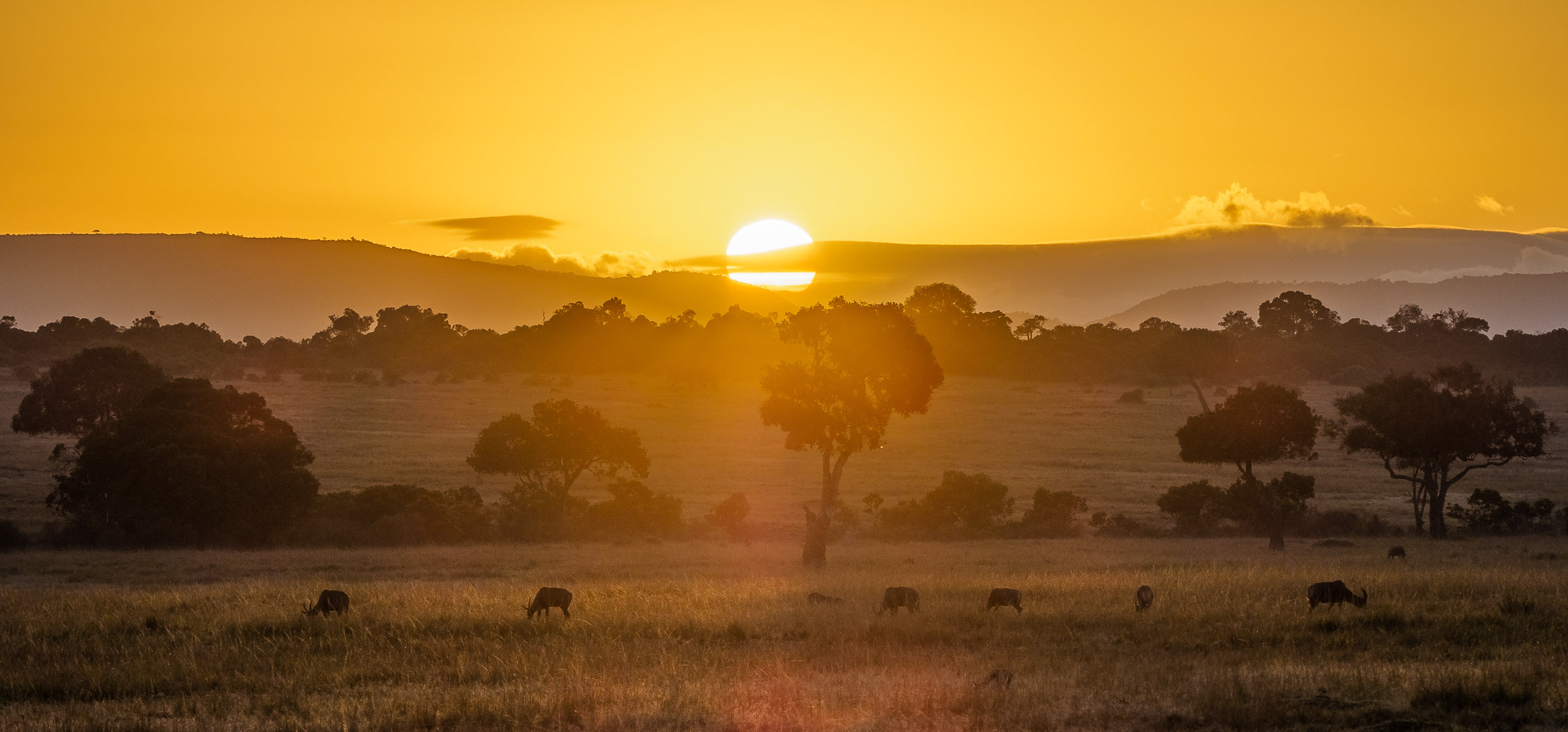 Maasai Mara Game Reserve sunset