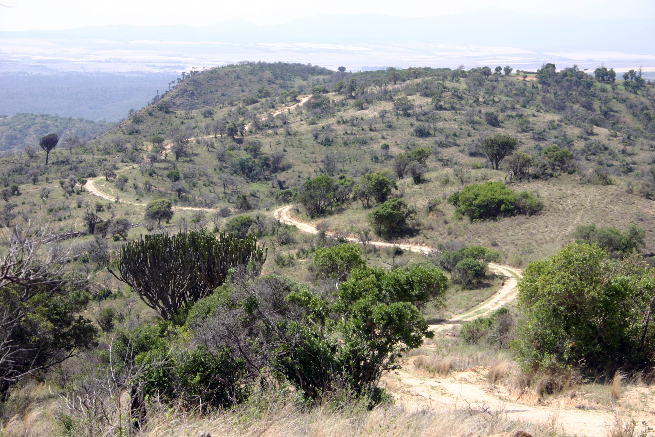 Lewa Conservancy