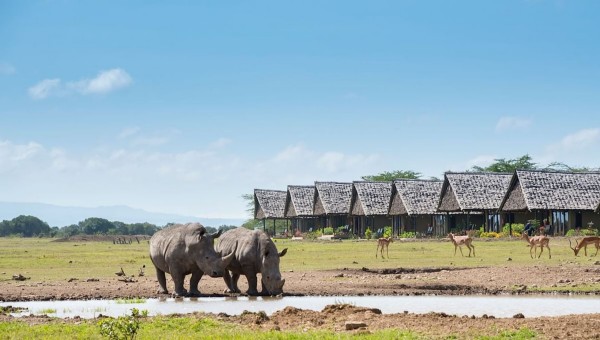 Sweetwaters Serena Camp