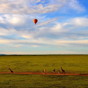 Hot air balloon over Maasai Mara