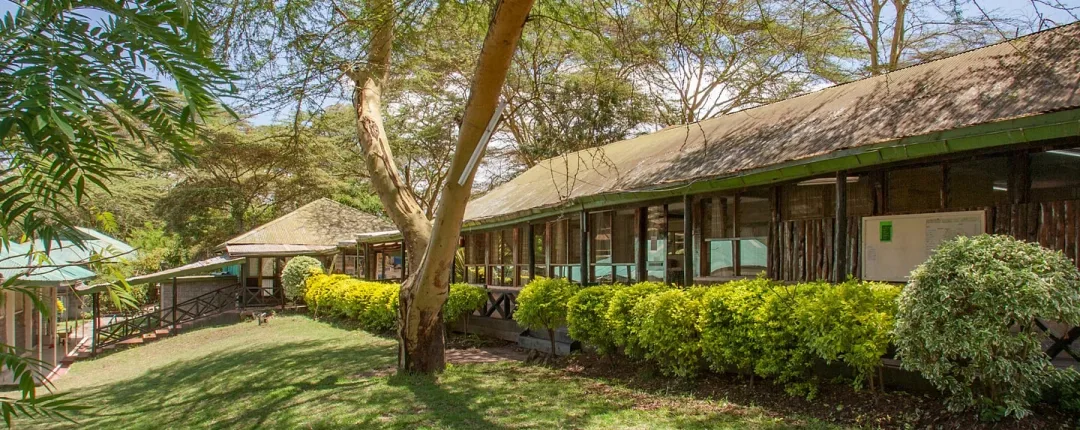 Elsamere Conservation Centre: A Cultural and Conservation Jewel