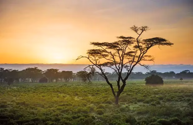 One of the things to do at Lake Nakuru National Park is a guided nature walk