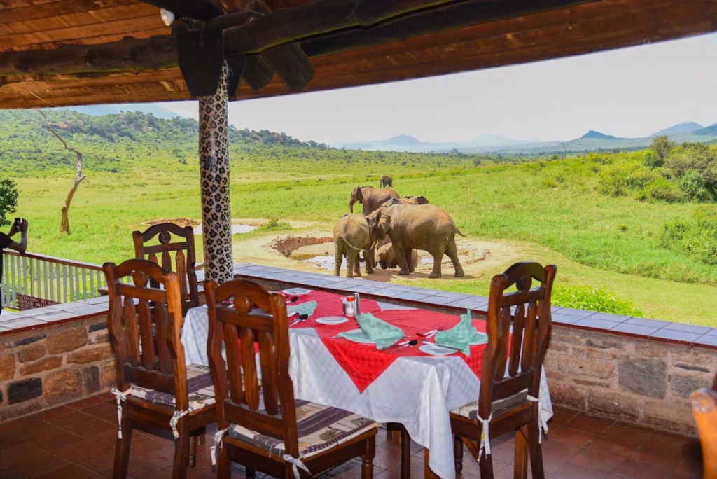 Ngulia Safari Lodge in Tsavo West National Park