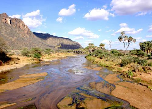 Ewaso Nyiro River Kenya